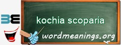WordMeaning blackboard for kochia scoparia